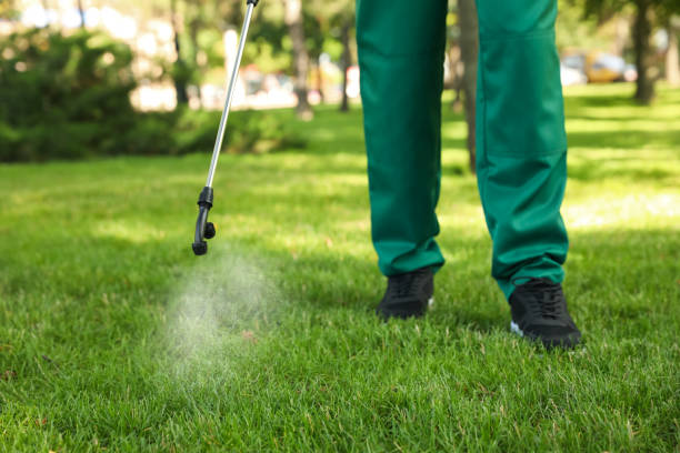 Best Emergency Pest Control  in Delta, OH