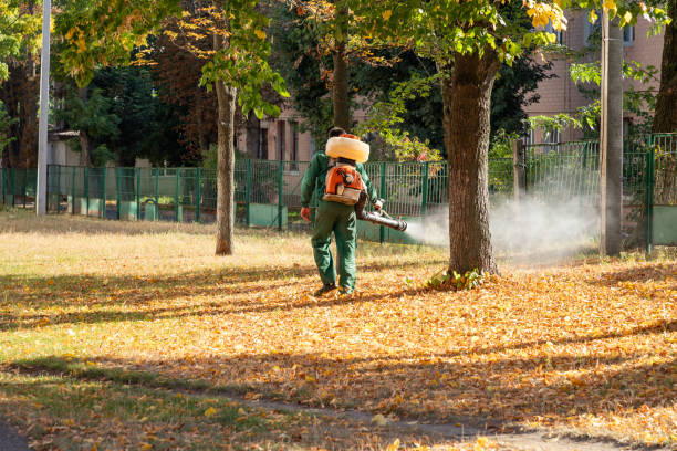 Best Best Pest Control Companies  in Delta, OH