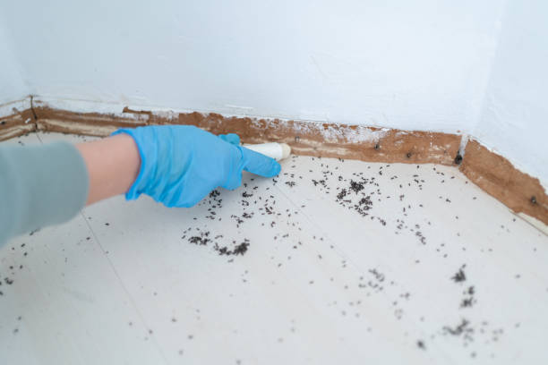 Best Best Pest Control Companies  in Delta, OH