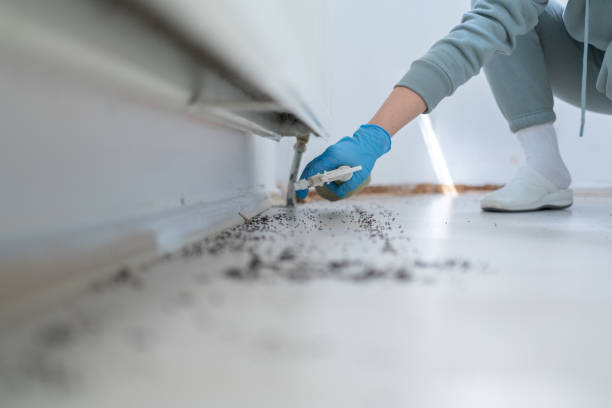 Best Pest Prevention Services  in Delta, OH